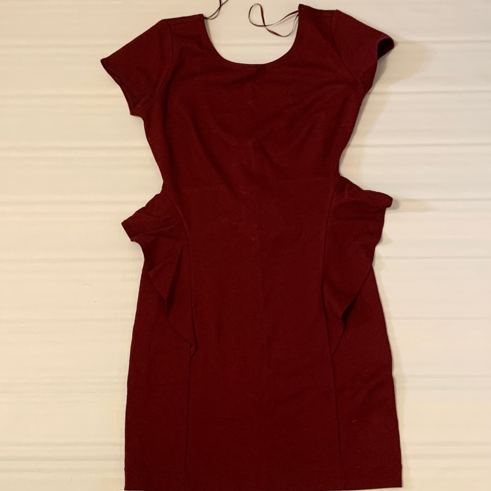 Zara Burgundy Mini Dress, Lower Back, Round neck